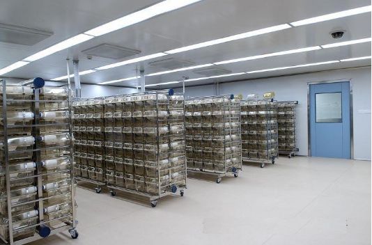 食用菌工廠規劃和布局