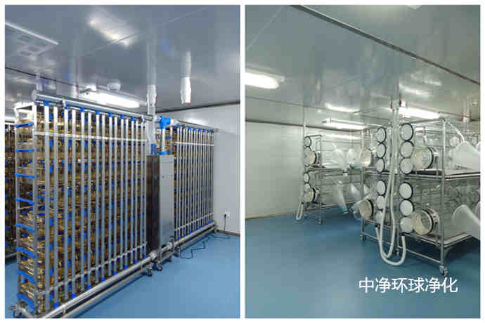 動物實驗中心建設(shè)規(guī)劃布置